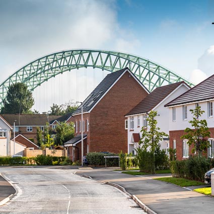 Halton population and area insights and data