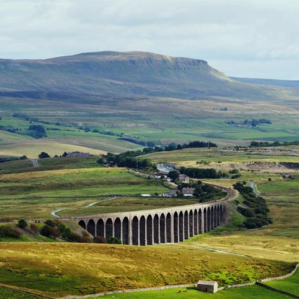 North Yorkshire population and area insights and data