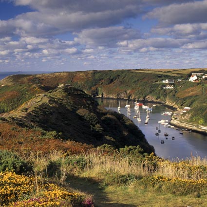 Pembrokeshire population and area insights and data